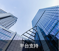 平臺支持