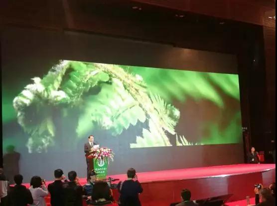 中醫(yī)藥養(yǎng)生大會(huì)