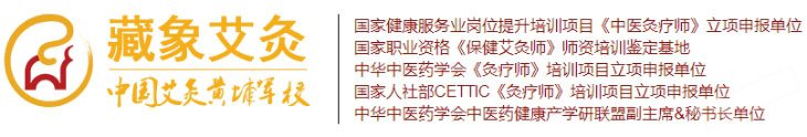 藏象艾灸學(xué)校